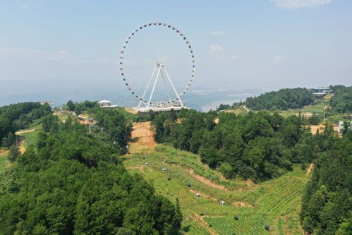 美心紅酒小鎮入選全國 萬企興萬村 行動優秀案例庫第一批擬入庫案例名單