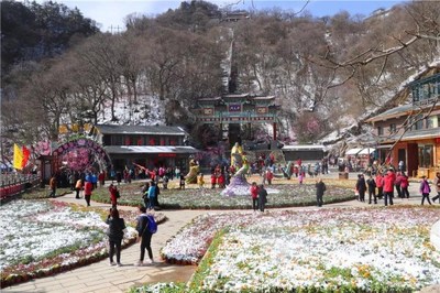 欒川縣踏青賞花游持續(xù)火爆 清明假期共計接待游客15.8萬人次