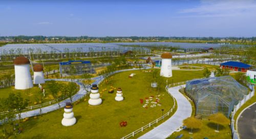 我們一起走過的2020 洋河新區(qū)文旅工作回眸